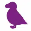 Purple-Puffin