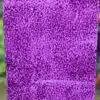 Purple-Puffin-Peelable-Glass-Paint-rollered-on