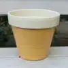 Thorndown-Ginger-Gold-and-Bath-Cream-Wood-Paint