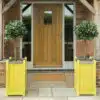 Thorndown-Golden-Somer-Planters