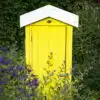 Thorndown-Golden-Somer-Wood-Paint-on-Forest-Shed