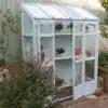 Thorndown-Skylark-Blue-Forest-Victorian-Greenhouse