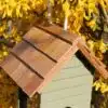 Thorndown-UV-Clear-roof