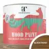Thorndown_Blackthorn-Wood Paint_750