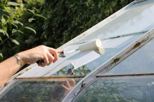 Thorndown Peelable Glass Paint for greenhouse shading