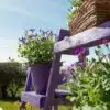 Purple Rain Wood Paint FPLD
