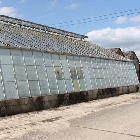 External Peelable Glass Paint shading at Floyds Nursery