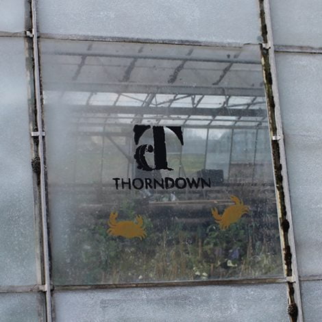 TD glass paint stencils at Floyds