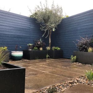 Thorndown-Bishop-Blue-fence-Bob-Richmond-Watson-Landscape-and-Garden-Design