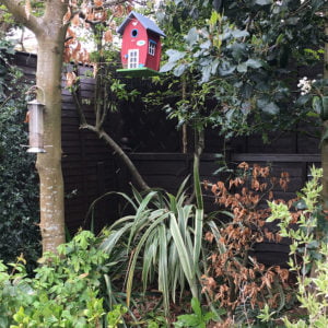 Thorndown-Wood-Paint-Blackthorn-fence