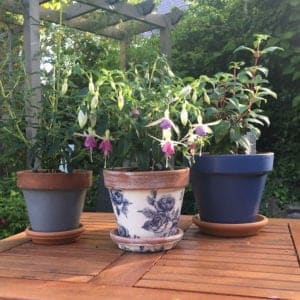 Lead-Grey-&-Peregrine-Blue-terracotta-pots