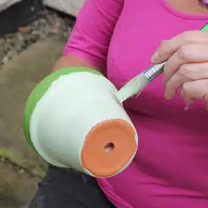 Painting-a-terracotta-pot-with-Parlyte-Green-Wood-Paint
