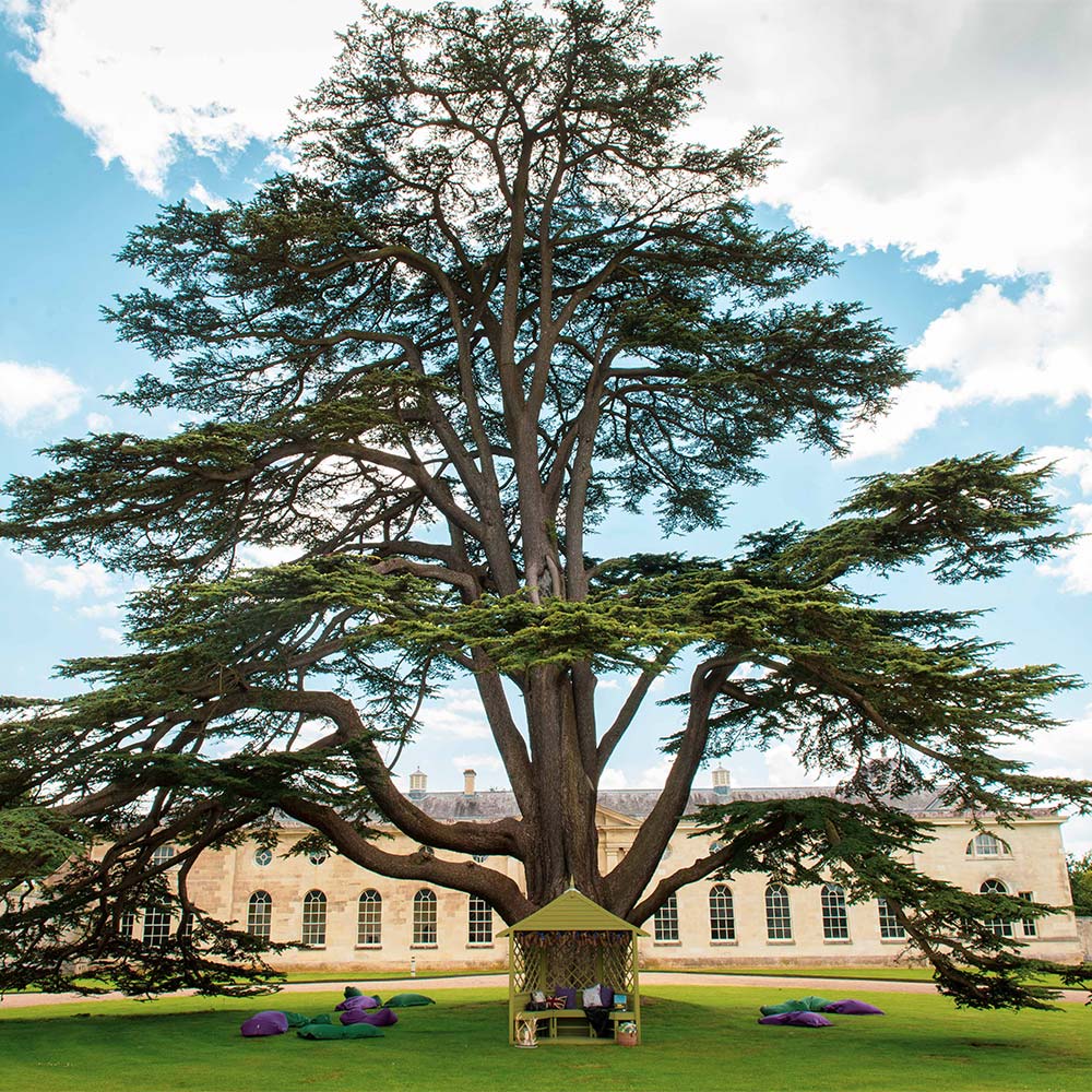 Moorland-Green-Woburn-Abbey_2019_2