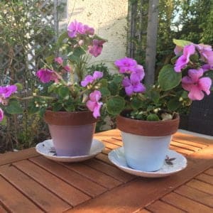Rock-Rose-&-Skylark-Blue-wood-paint-on-terracotta-pots