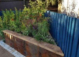 The-Great-Garden-Challenge-RAL-Design-Sapphire-Blue-wood-paint-on-fence