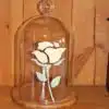 Bath-Cream-Rose-stencil-on-glass-cloche