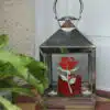 Thorndown-Peelable-Glass-Paint-Dragon-Red-Rose-Stencil-on-lantern