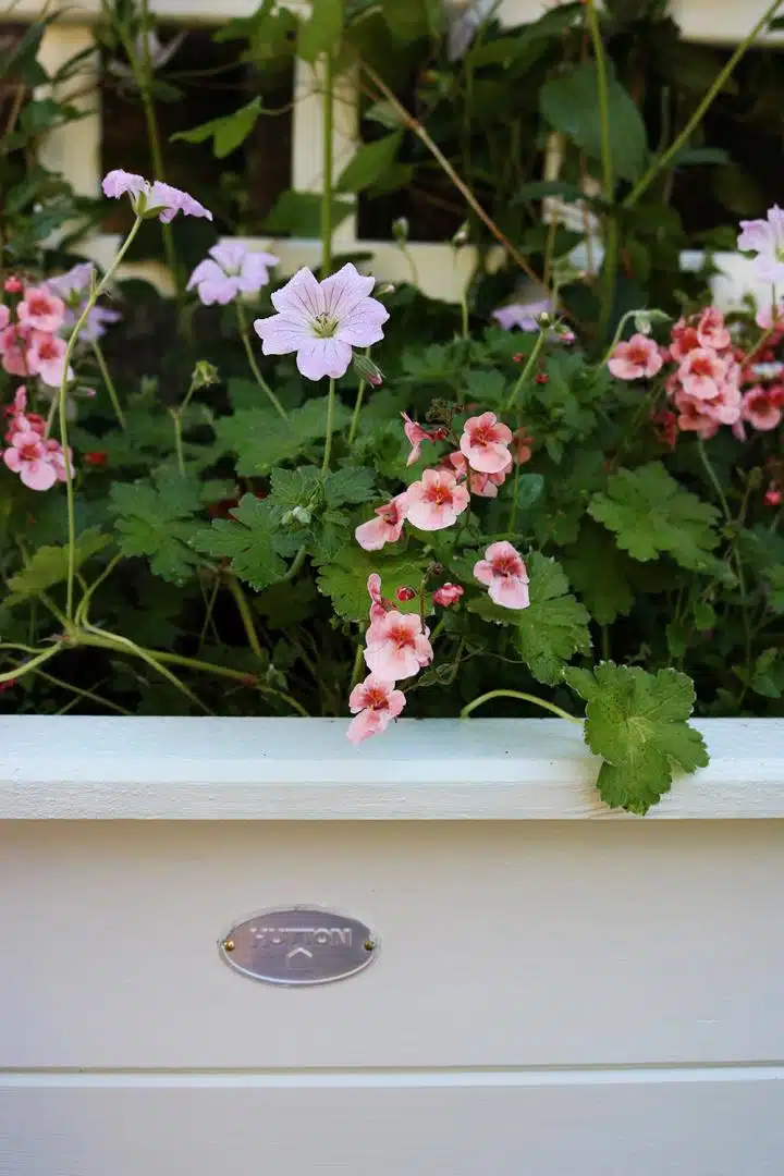 Thorndown-Green-Hairtreak-Wood-Paint-on-Hutton-trellis-planter