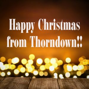 Thorndown-Paint-Happy-Christmas