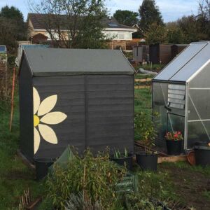 Sarah-Ireland-Shed-Bergamot-Grey-with-flower-in-Meadowsweet-Cream-and-Golden-Somer-Wood-Paint