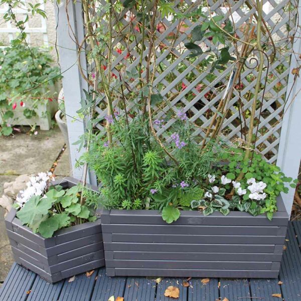 Thorndown-Bergamot-Grey-Wood-Paint-on-planter_2