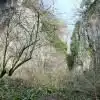 Thorndown-Ebbor-Stone-pic