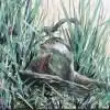 Thorndown-Ottery-Brown-pic