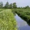 Thorndown-Rhyne-Green-pic