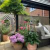 Thorndown-Tor-Stone-Wood-Paint_Man-About-Gardening_1
