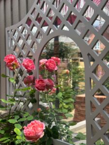 Thorndown-Tor-Stone-Wood-Paint_Man-About-Gardening_3