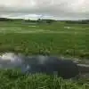 Thorndown-Wetlands-Green-pic