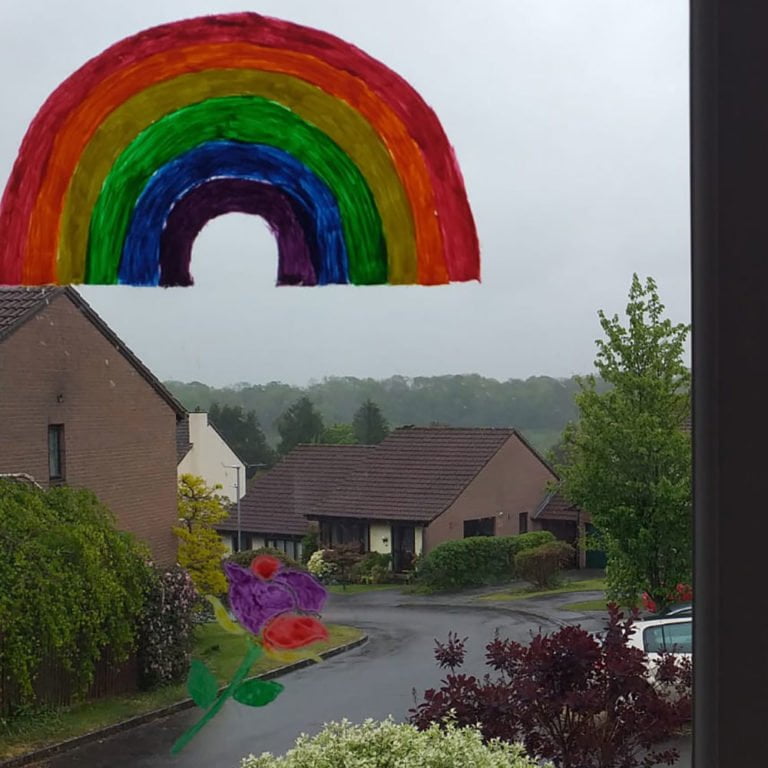 Rainbow-with-rainbow-rose