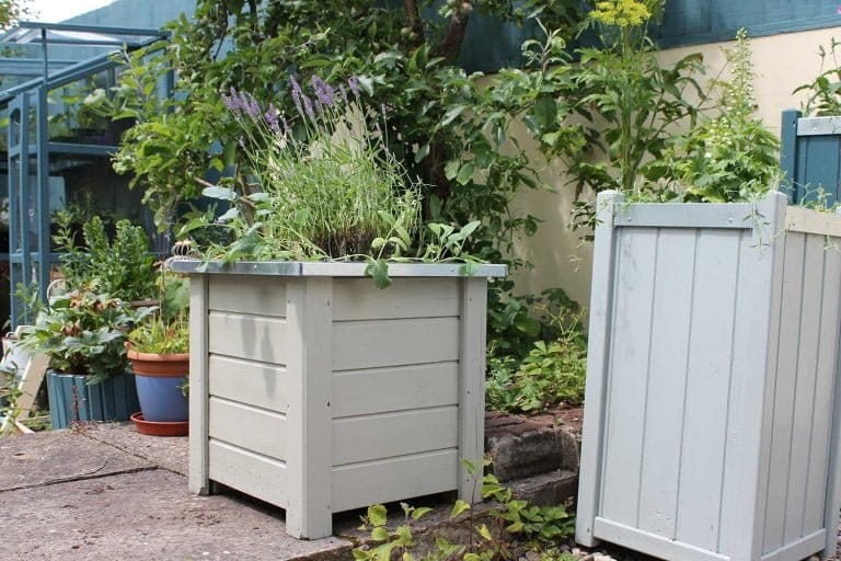 Veg-bed-planters-painted-in-Thorndown-Wood-Paint
