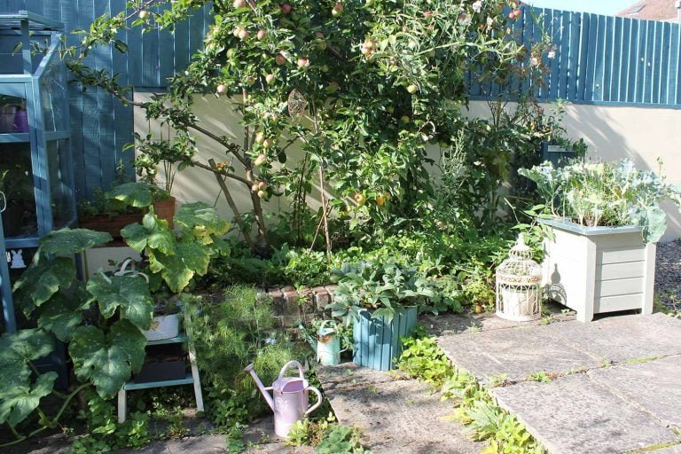 Veg-beds-overflowing