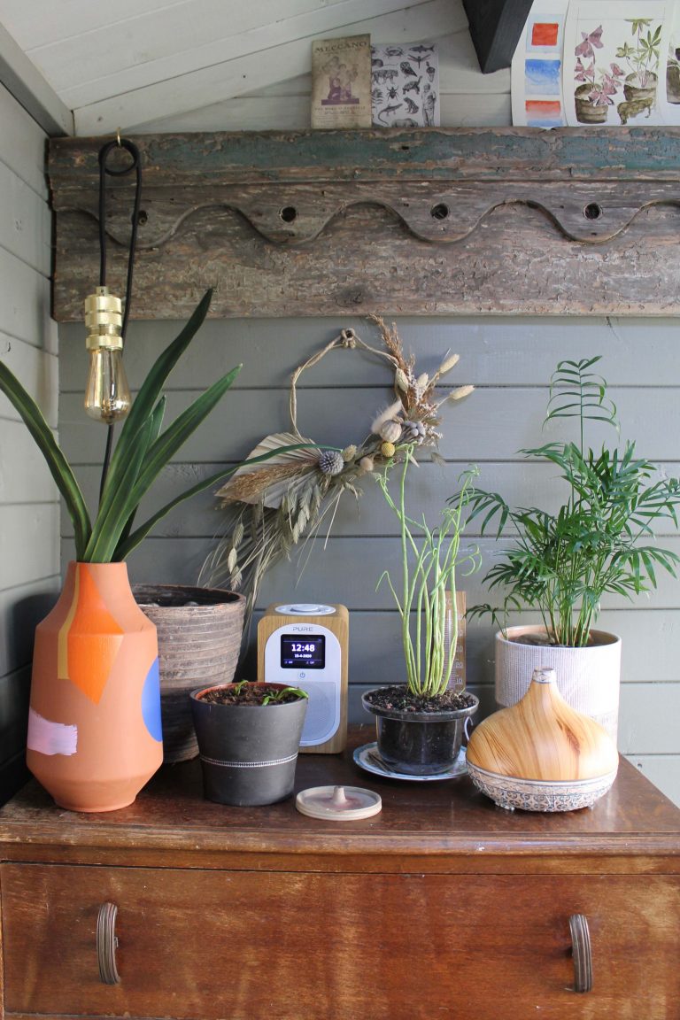 Joanna-Thornhill-Garden-Shedio-Interior-Cupboard-Top-Dormouse-Grey-back-wall-