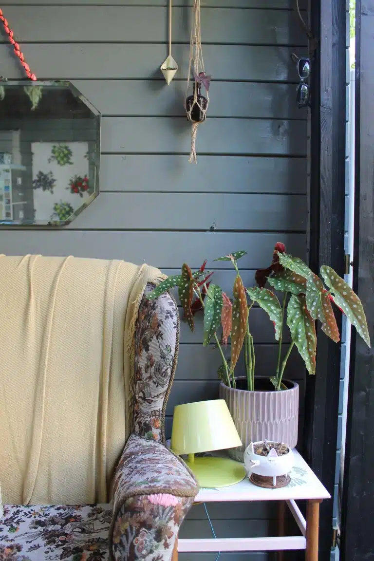 Joanna-Thornhill-Garden-Shedio-Interior-Seating-Area-Detail-1-Dormouse-Grey-back-wall-and-Blackdown-frames