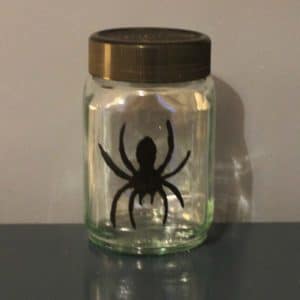 Thorndowns-Peelable-Glass-Paint-Halloween-Bat-Black-spider-stencil