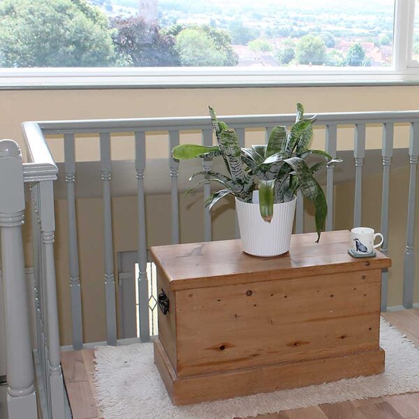 Thorndown-Tree-Lichen-Wood-Paint-railings