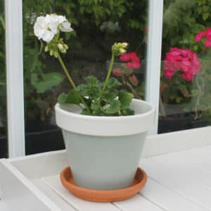 Thorndown-Tree-Lichen-and-Whey-White-Wood-Paint-on-terracotta-pot