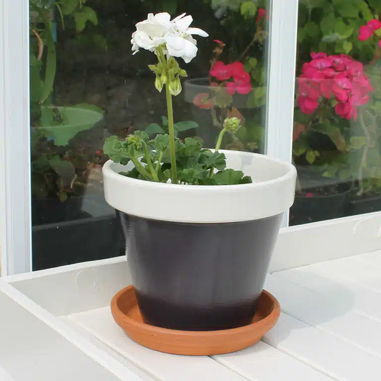 Thorndown-Whortleberry-and-Whey-White-Wood-Paint-on-terracotta-pot_s