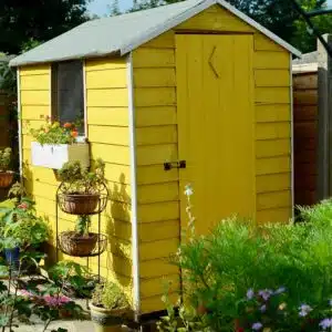 Forest-Shed-in-Thorndown-Mudgley-Mustard-and-Swan-White