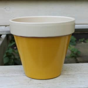 Terracotta-Pot-painted-with-3-coats-Mudgley-Mustard-and-2-Doulting-Stone-Thorndown-Wood-Paint