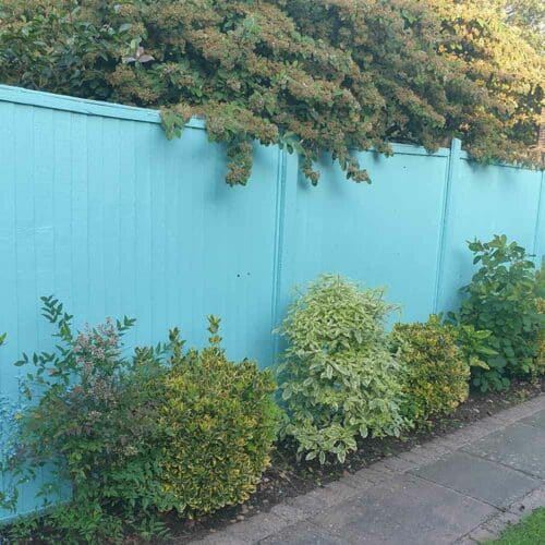 Thorndown-Goblin-Blue-Wood-Paint-on-fence
