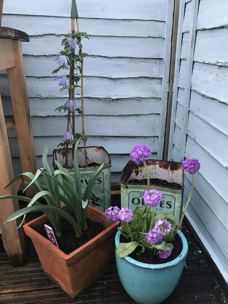 Thorndown-Greylake-Wood-Paint-fence