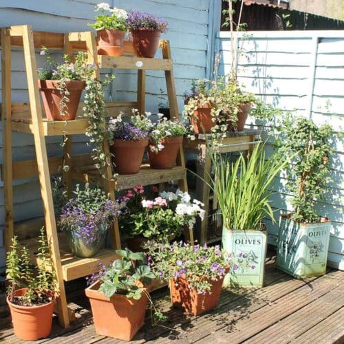 Thorndown-Greylake-Wood-Paint-on-Fencing