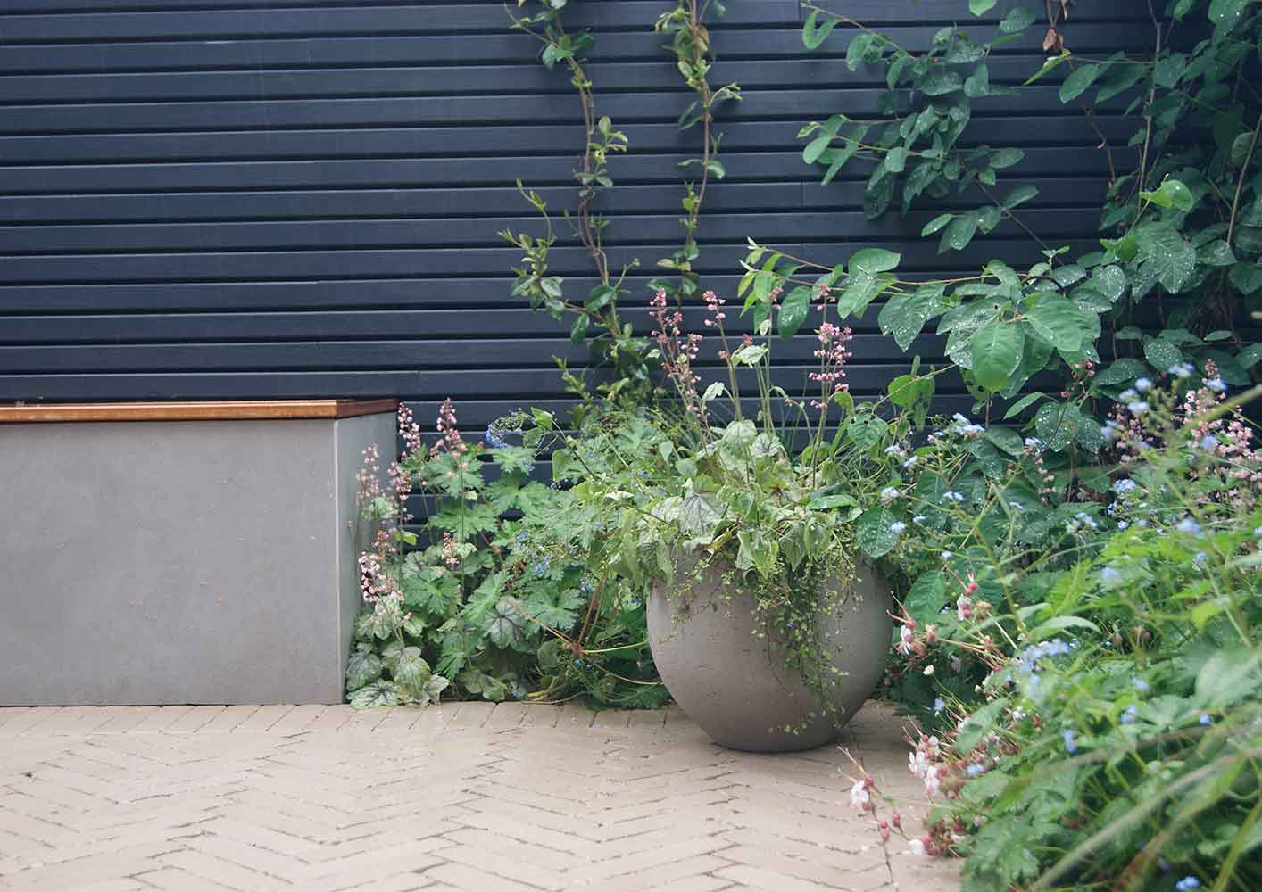 ameliabouquetgardendesign-Fence-in-Thorndown-RAL-7016-Anthracite-Grey-Wood-Paint_6