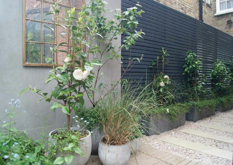 ameliabouquetgardendesign-Fence-in-Thorndown-RAL-7016-Anthracite-Grey-Wood-Paint_7