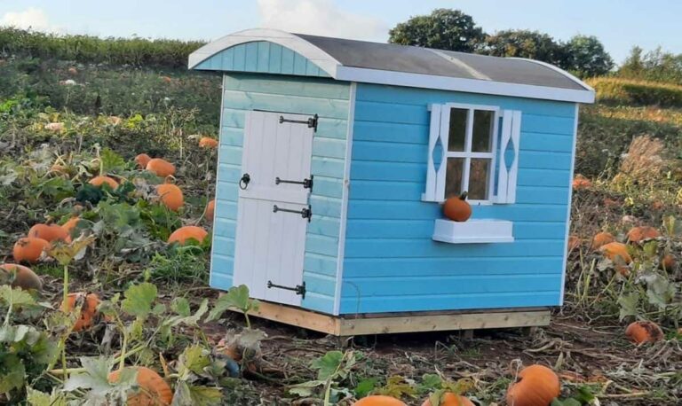 Taunton-Shepherds-Hut-painted-in-Thorndown-Goblin-Blue-and-Swan-White-Wood-Paint_4