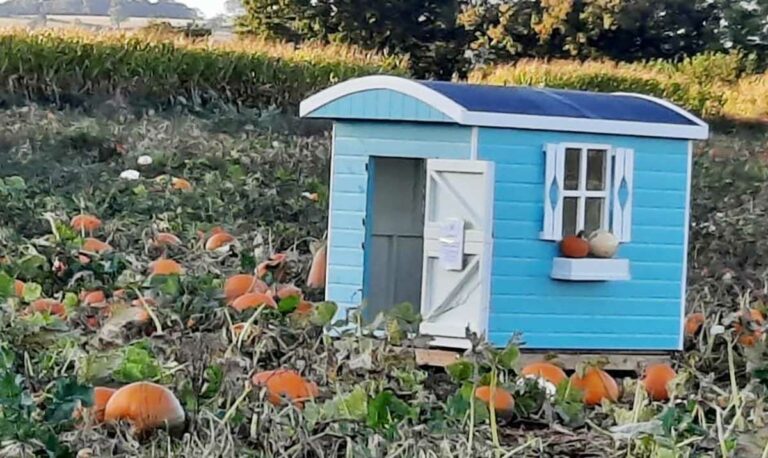 Taunton-Shepherds-Hut-painted-in-Thorndown-Goblin-Blue-and-Swan-White-Wood-Paint_5