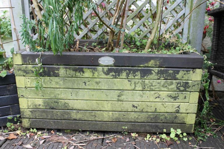 Large-planter-before